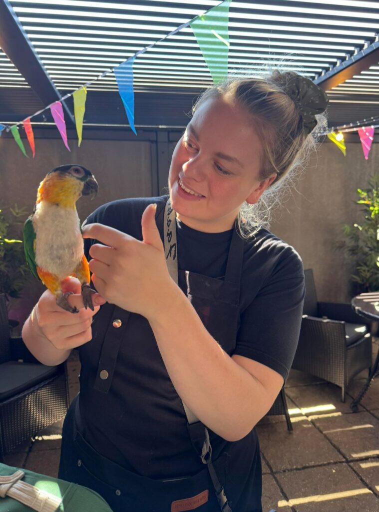 Screenshot 2026-03-24 at 16.22.24