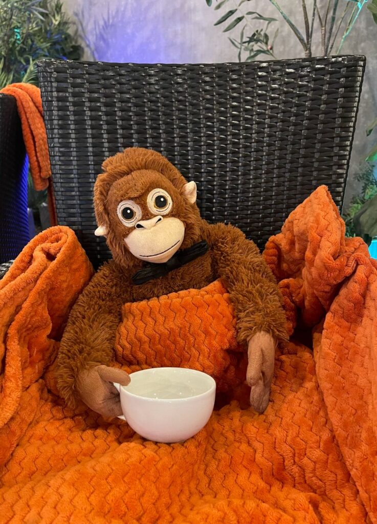 Screenshot 2026-03-24 at 16.25.27