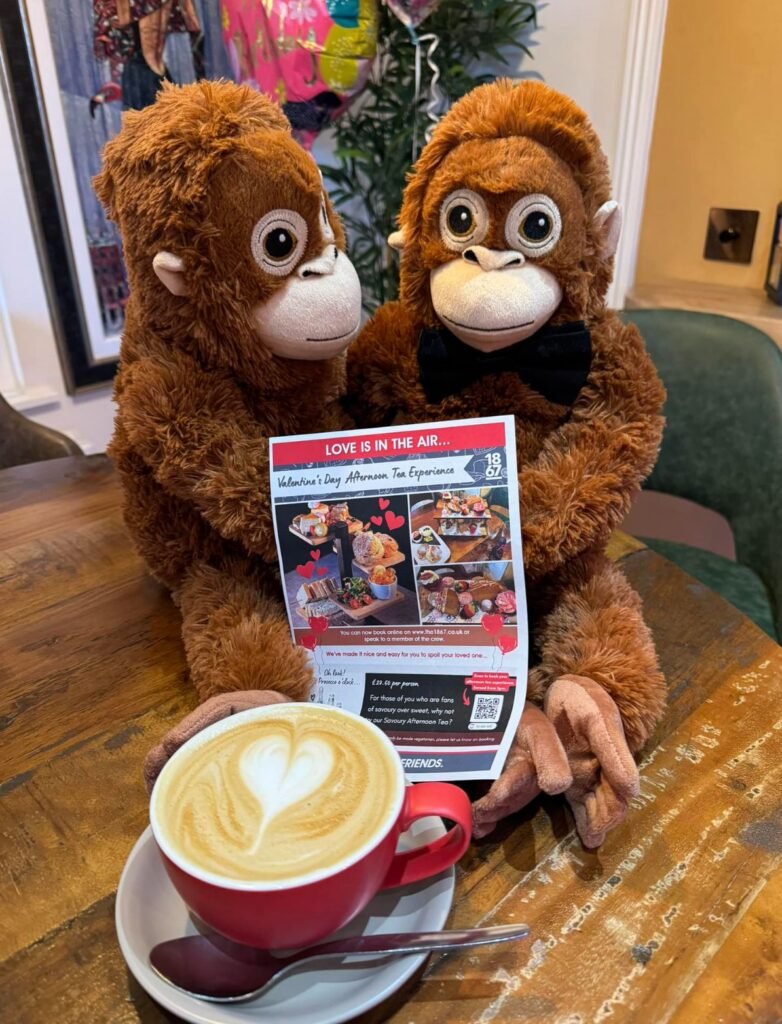 Screenshot 2026-03-25 at 12.01.27