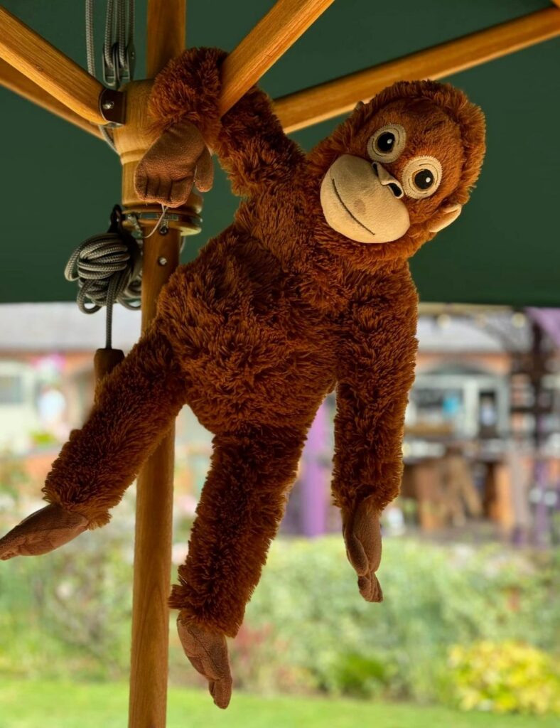 Screenshot 2026-03-25 at 12.02.55