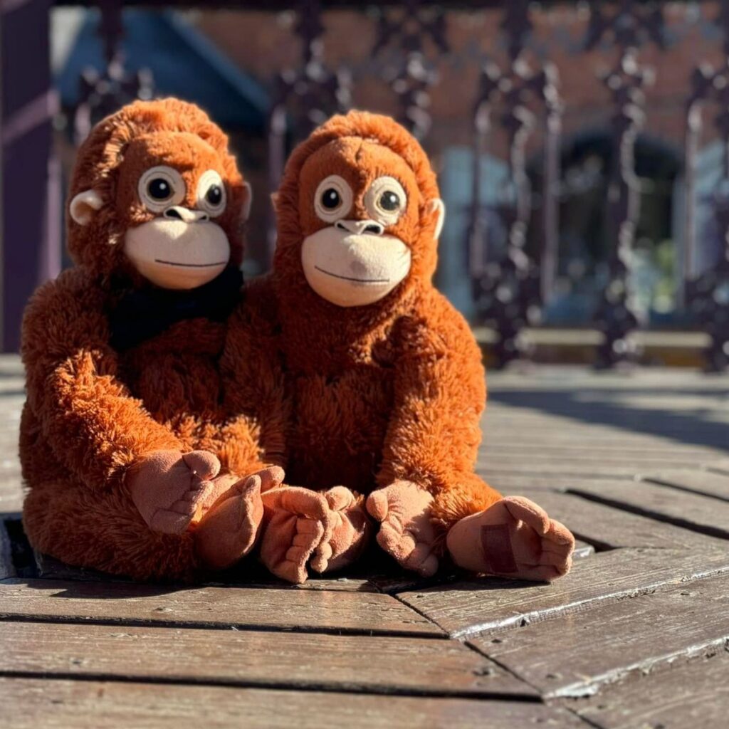 Screenshot 2026-03-25 at 12.03.02