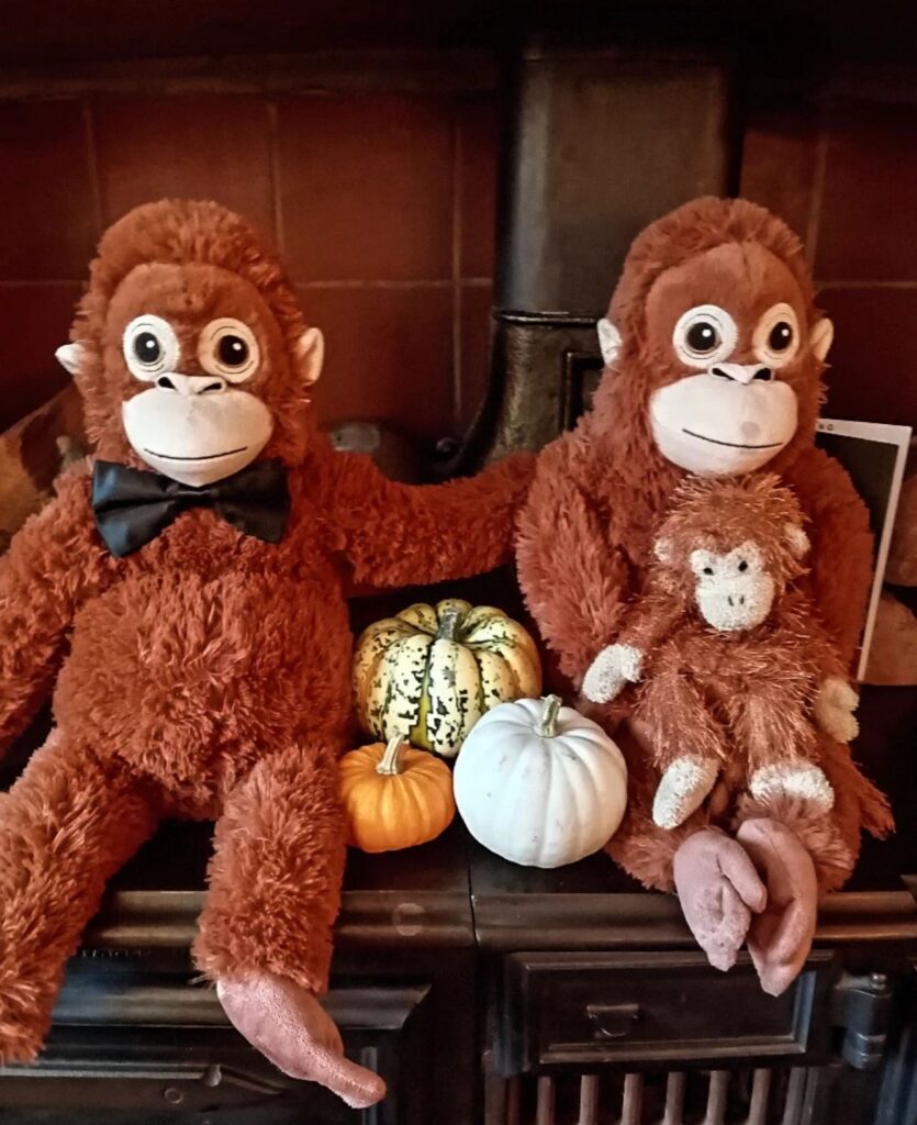 Screenshot 2026-03-25 at 12.04.55