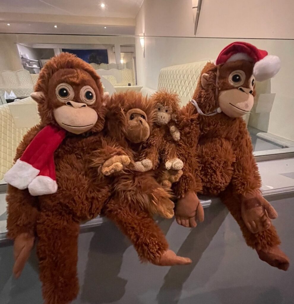 Screenshot 2026-03-25 at 12.06.01