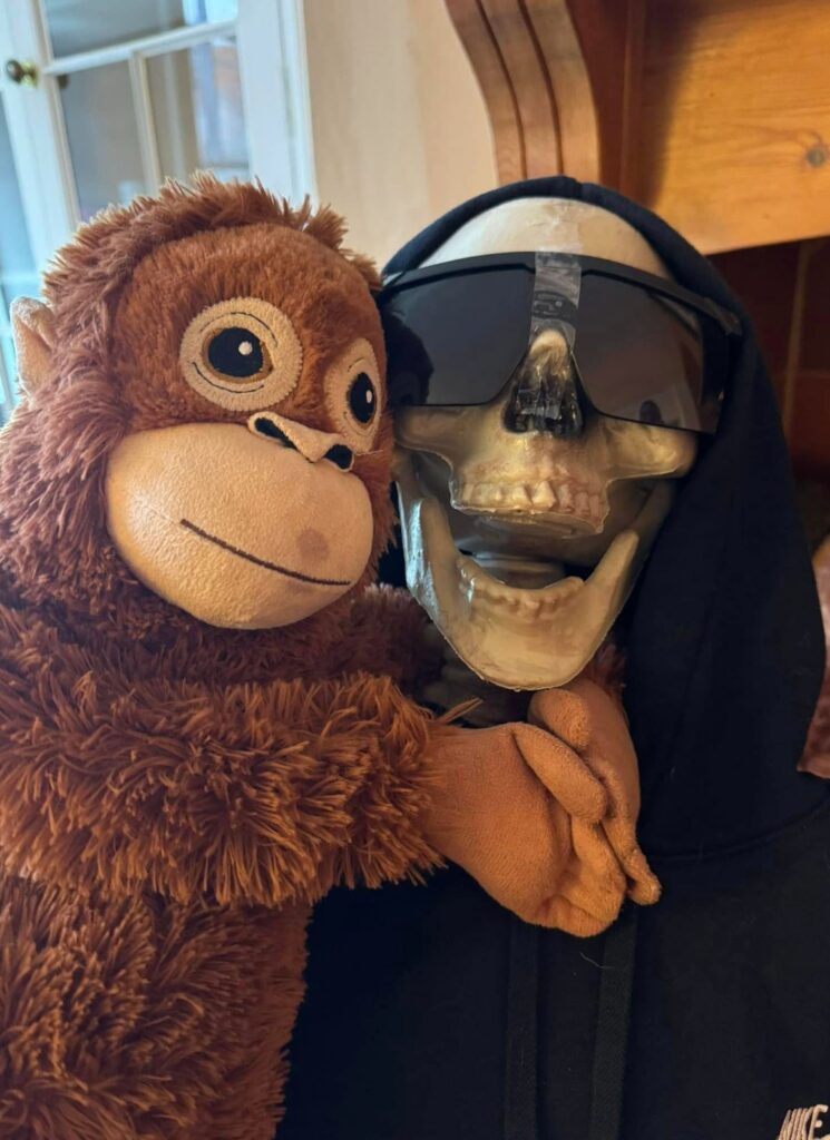 Screenshot 2026-03-25 at 12.07.17